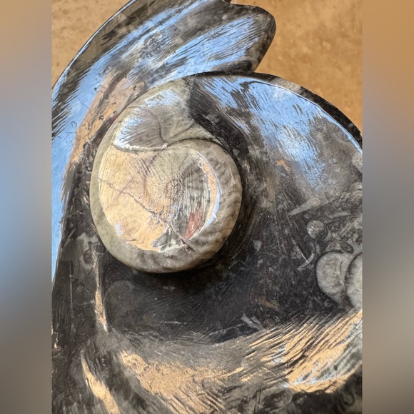 Orthoceras Fossil Ammonite Stone Jewelry Tray Handcarved - Picture 3 of 6